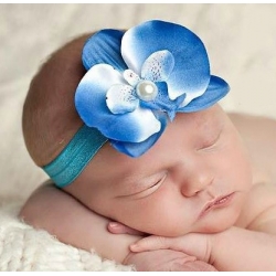 blue orchid flower 
