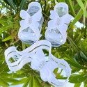 Βρεφικά ελαστικά σανδαλια με κορδέλα λευκές πεταλούδες
